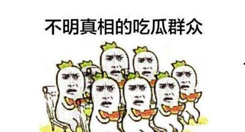 爸妈吵架吃瓜群众,一场家庭纷争的现场直播