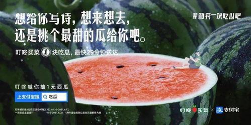 吃瓜闲聊文案图片大全,揭秘吃瓜闲聊文案图片背后的趣味世界