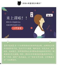 看影子吃瓜,探寻光影交织下的美食故事