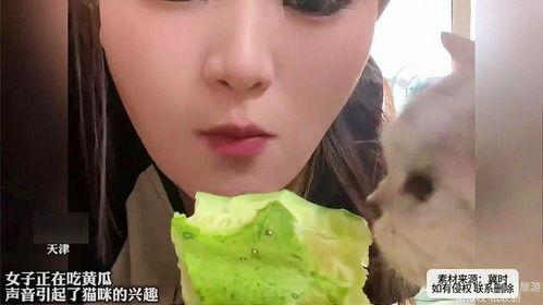 女生发看戏吃瓜,瓜田品百态——女性视角下的娱乐世界