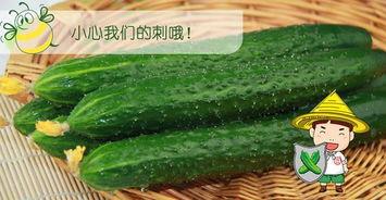 六元吃瓜,揭秘娱乐圈背后的那些事儿