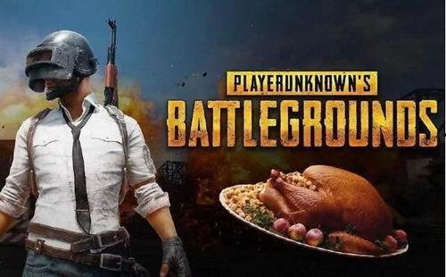 大瓜吃小瓜游戏视频解说,趣味游戏视频深度解析