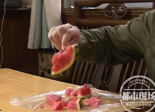 塑料袋吃瓜,揭示塑料污染的惊人真相