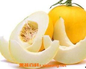 伊丽莎白蜜瓜怎么吃,伊丽莎白蜜瓜的多彩食法探索