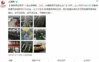 360无死角吃瓜群众图,揭秘“无死角吃瓜群众”图背后的故事